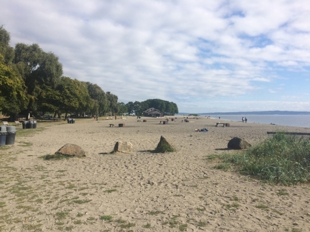 Golden Gardens Fire Pits